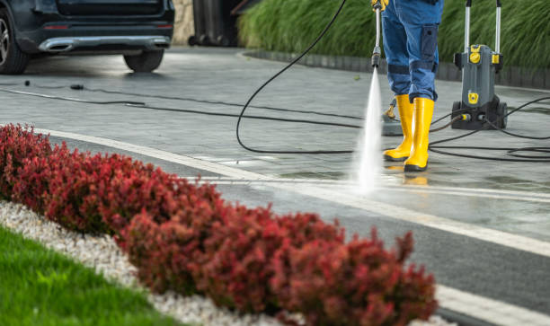 Best Solar Panel Cleaning  in Wickes, AR